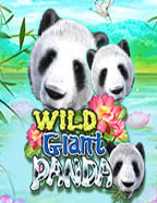 เว็บพนันบอลออนไลน์ ที่ดีที่สุด ต้องไม่พลาดสูตรนี้!