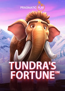 แชร์ประสบการณ์ สมัคร เอ เย่ น joker เพื่อทดลองเล่นสนุกๆ